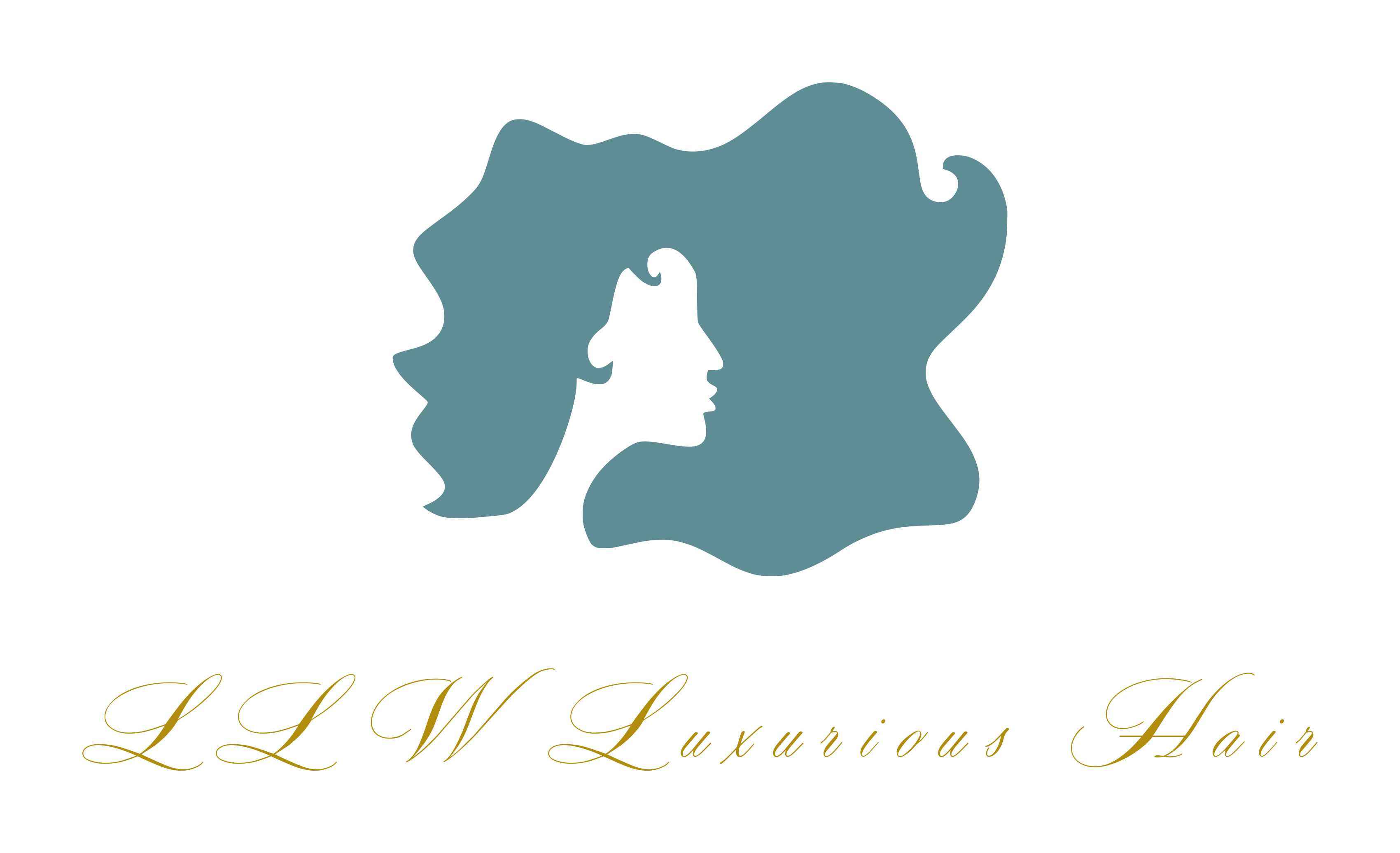 LLW Luxurious Hair LLC — photo from salon website